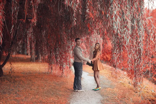 Couple dans le parc — Photo