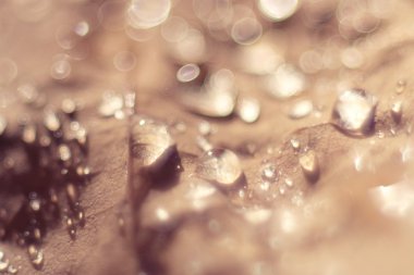 kahverengi doku soyut