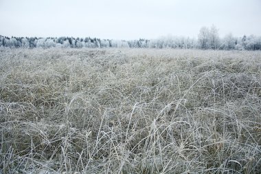 Winter landscape clipart