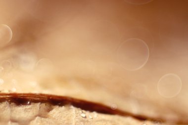 Arka plan bej bulanık