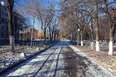 Sonbahar karlı park