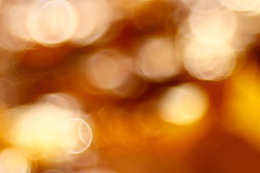 Sonbahar arkaplanı bulanık