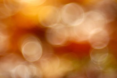 Sonbahar arkaplanı bulanık