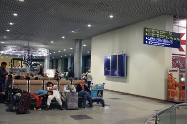 Havalimanı yolcu