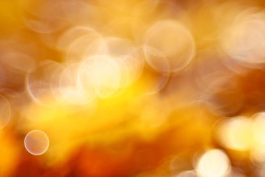 Sonbahar arkaplanı bulanık