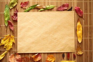 Kuru yaprakları arka plan