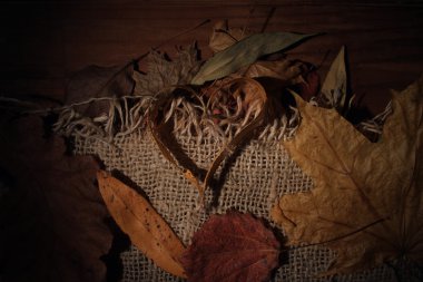 Sonbahar kalp yaprak