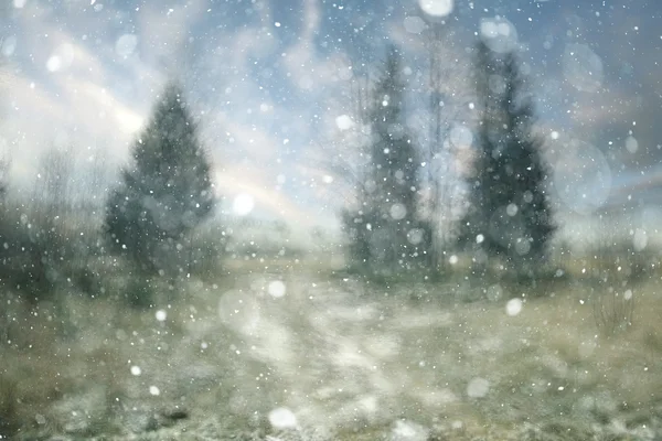 Suddig snöiga skogen — Stockfoto