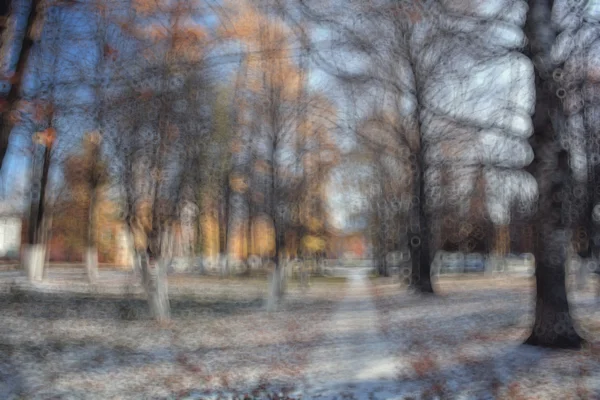 Herbst Park Hintergrund — Stockfoto