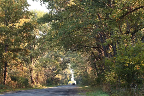 Herbststraße — Stockfoto