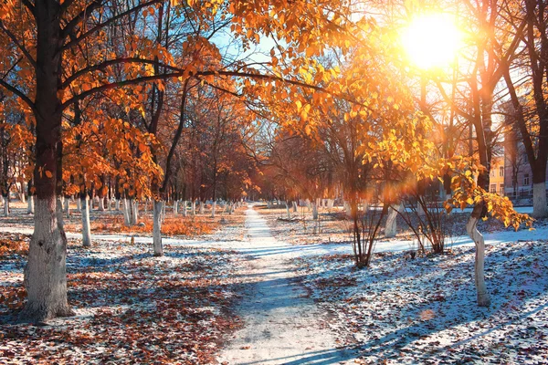 Parque de finales de otoño —  Fotos de Stock