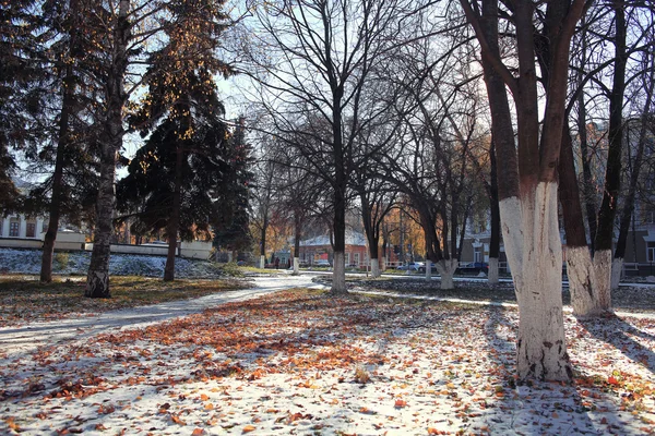 Parque de finales de otoño — Foto de Stock