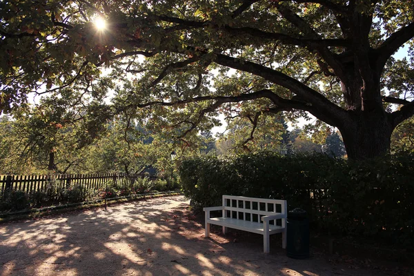 Bench in autumn park — Stock Photo, Image