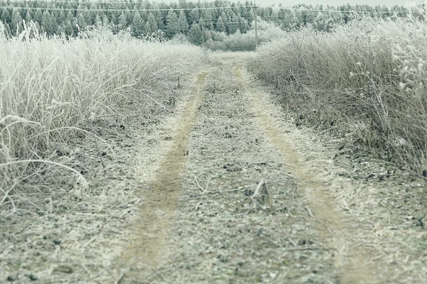 Campo de inverno — Fotografia de Stock