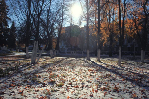 Spätherbstpark — Stockfoto