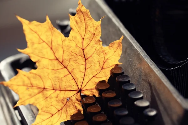 Autumn typewriter — Stock Photo, Image