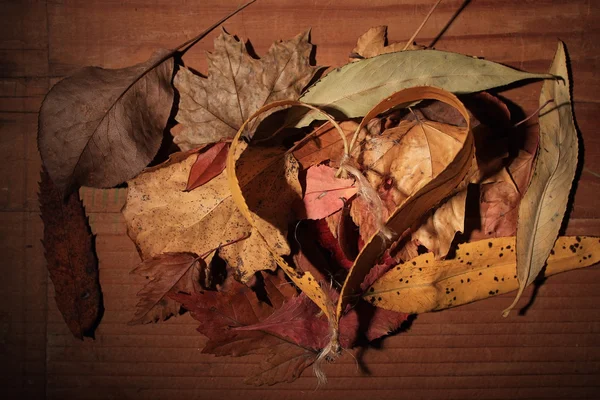 Foglia di cuore autunno — Foto Stock