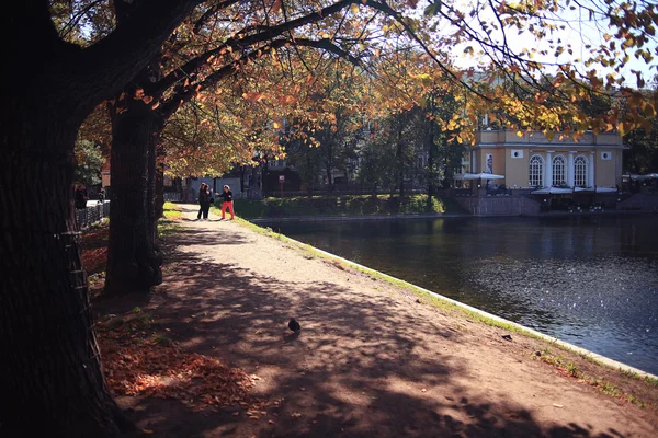 Pond in park — Stock Photo, Image