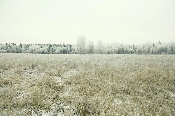 Paesaggio invernale — Foto Stock