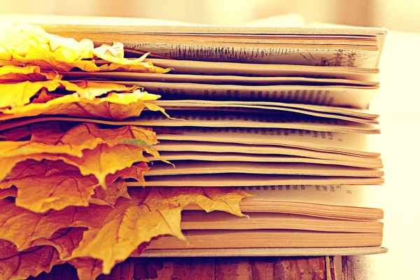 Autunno libro — Foto Stock