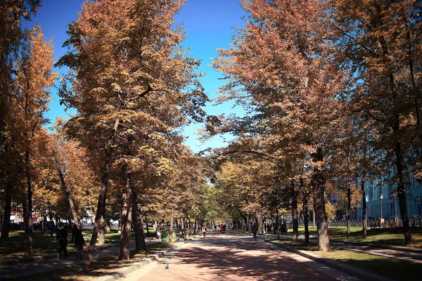 Parque de outono — Fotografia de Stock