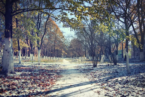 遅い秋の公園 — ストック写真