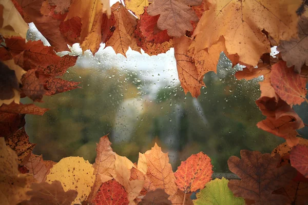 Herbstblätter rahmen ein — Stockfoto