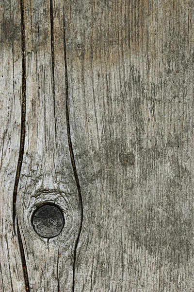 Wooden texture — Stock Photo, Image