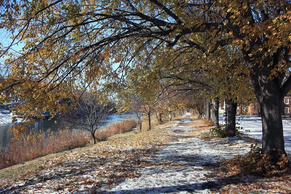 Autunno parco innevato — Foto Stock