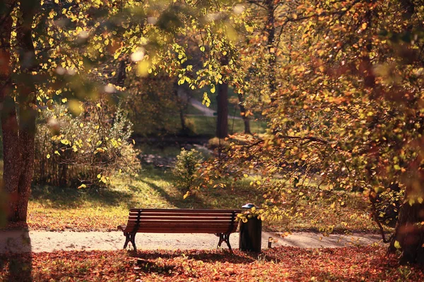 Bänk i höstparken — Stockfoto