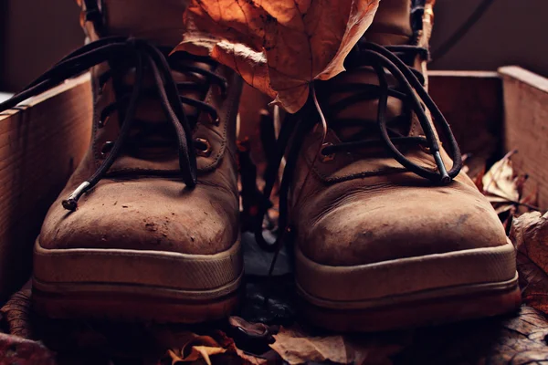 Alte Schuhe — Stockfoto