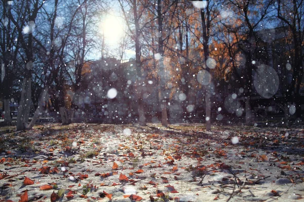 Podzimní zasněžené park — Stock fotografie