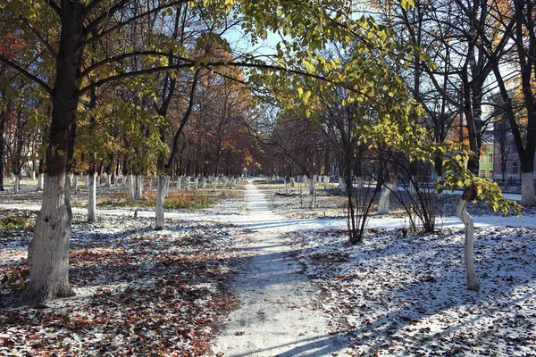 Autumn snowy park — Stock Photo, Image