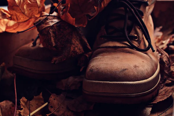Oude schoenen — Stockfoto