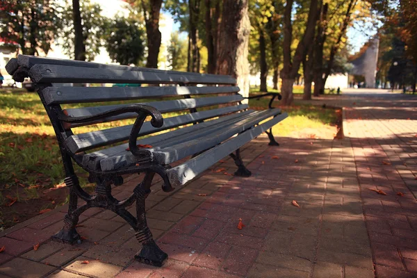 Bankje in het park — Stockfoto