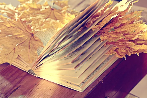 Autumn book — Stock Photo, Image