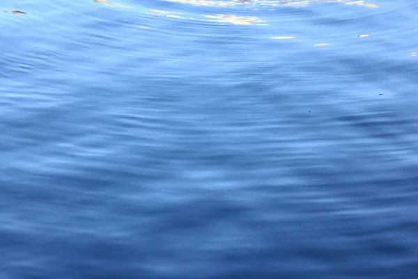 Deniz doku — Stok fotoğraf