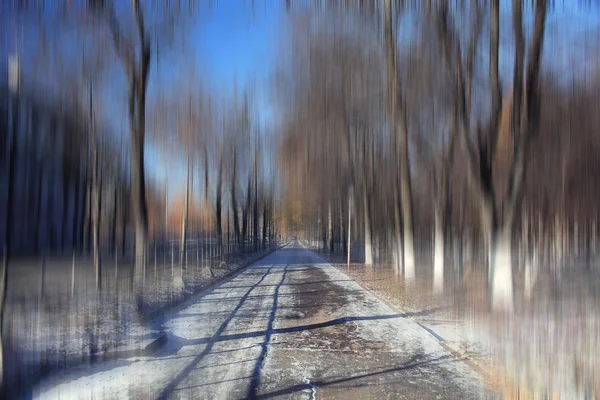 Őszi park háttér — Stock Fotó