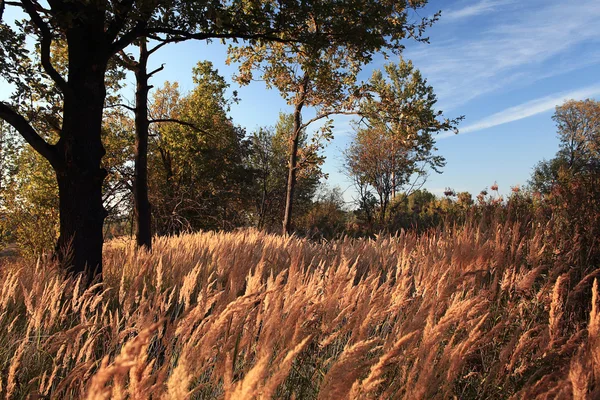 Paesaggio d'autunno — Foto Stock