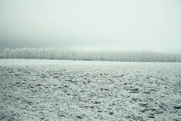 Paysage hivernal — Photo