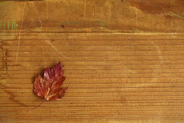 葉と背景 — ストック写真