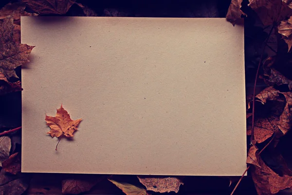 Paper with autumn leaves