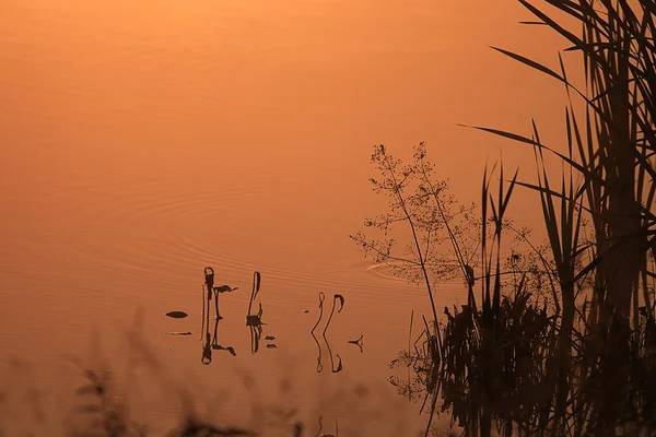 Lago do Outono — Fotografia de Stock