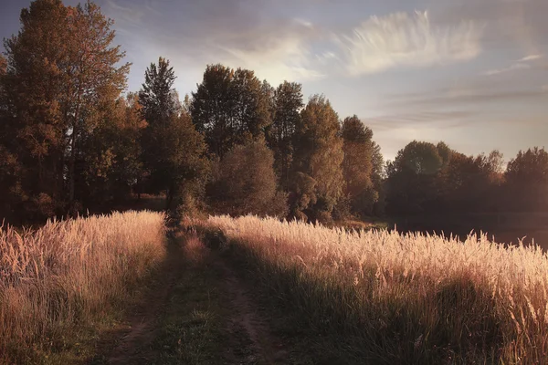 Herfstlandschap — Stockfoto