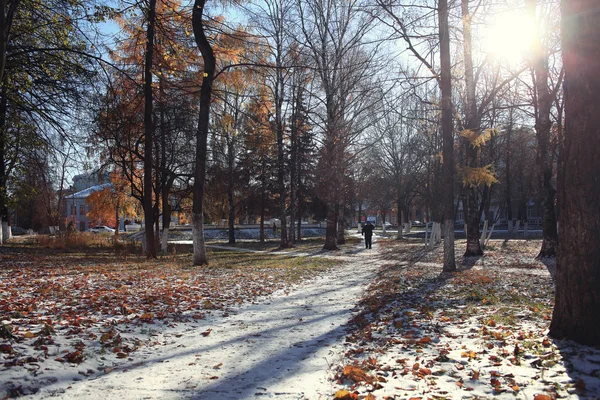 Jesienią snowy parku — Zdjęcie stockowe