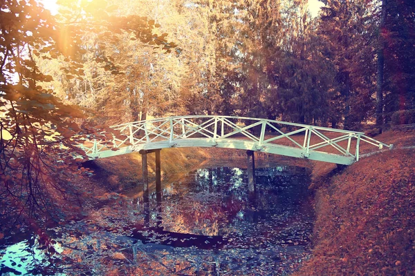 Otoño en parque — Foto de Stock