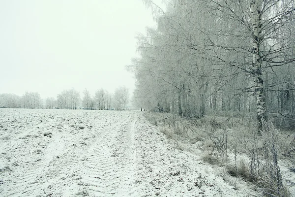 Paysage hivernal — Photo