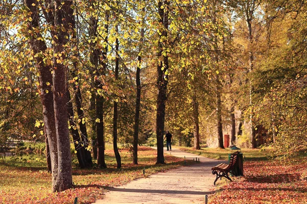Panchina nel parco autunnale — Foto Stock
