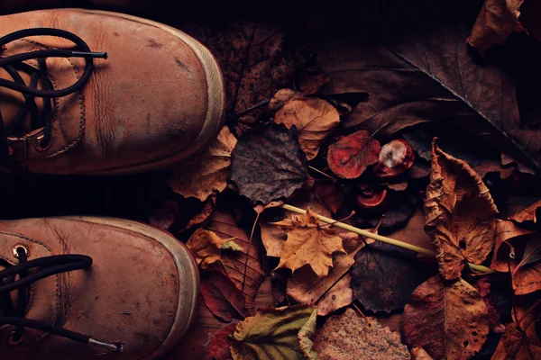 古い靴 — ストック写真