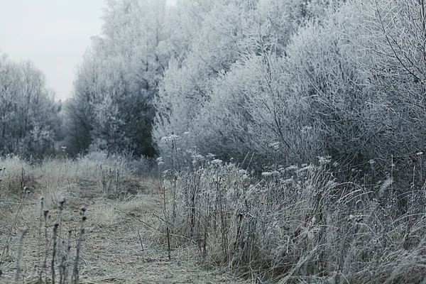 Zimní krajina — Stock fotografie